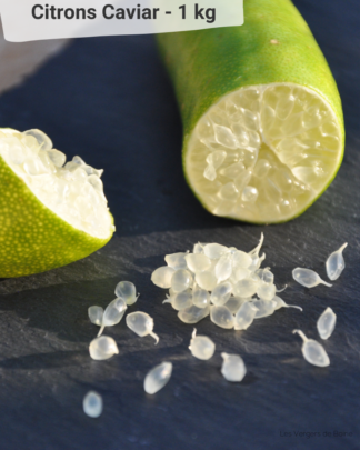 Citrons Caviar jaune