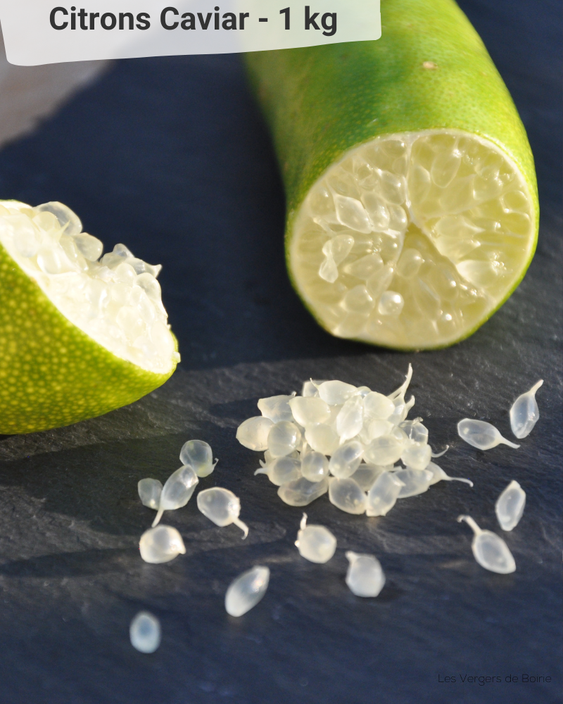 Citrons Caviar jaune