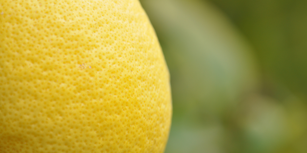 Fruits du Verger LES VERGERS DE BOIRIE
