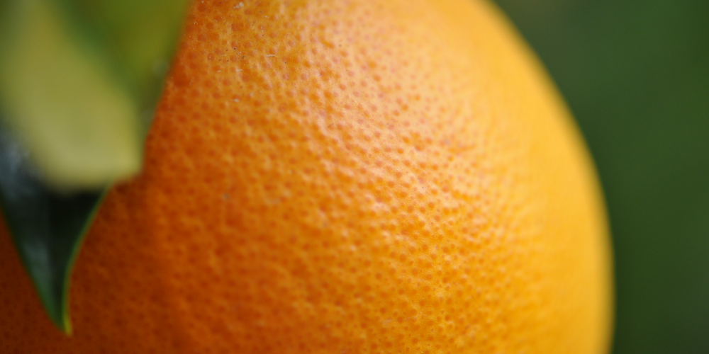 Fruits frais ou en confiture LES VERGERS DE BOIRIE