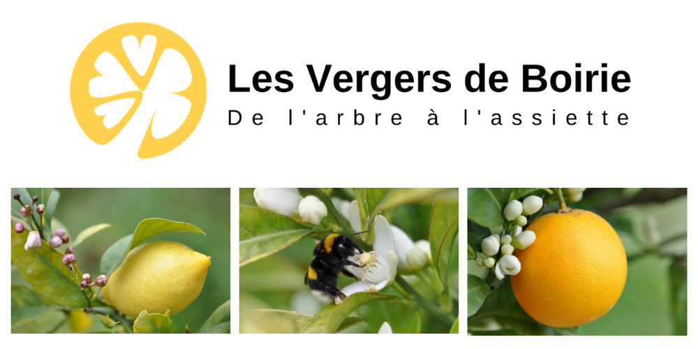 Tous vos fruits LES VERGERS DE BOIRIE