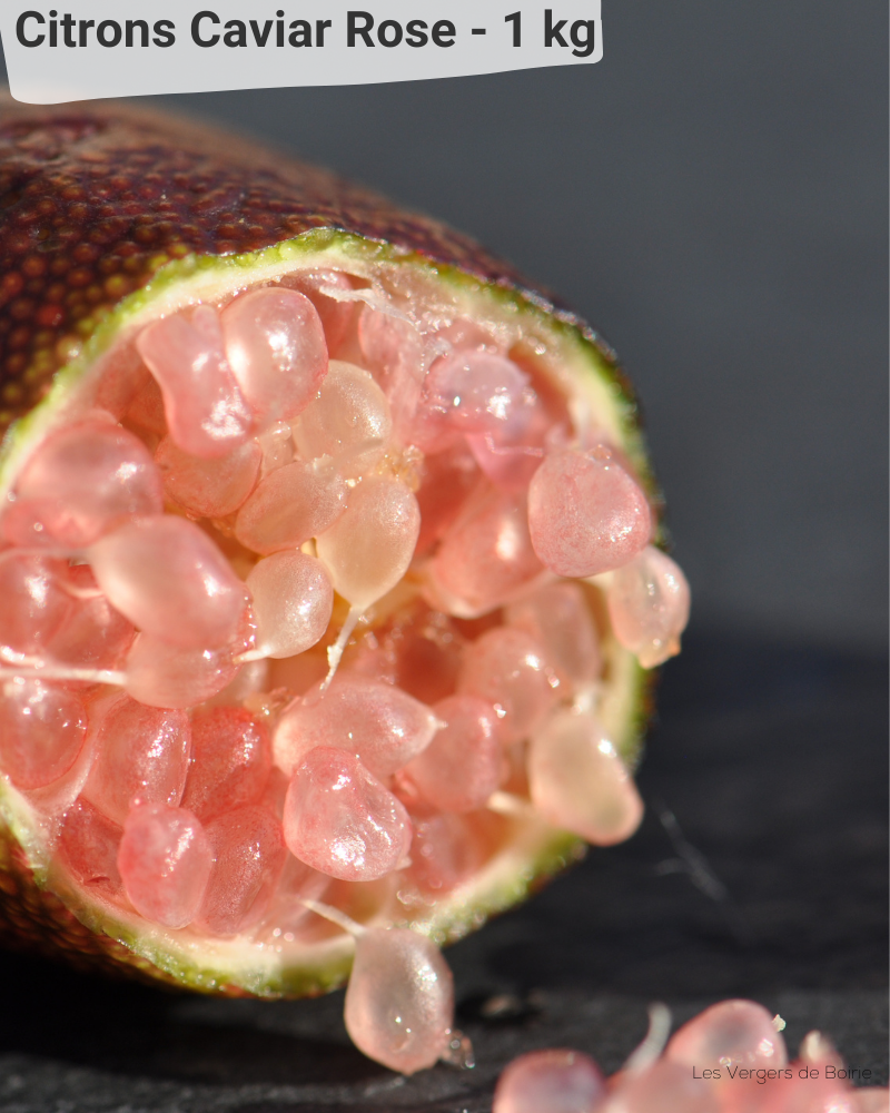 Citron Caviar Rose, 1 Kg Les Vergers de Boirie à Menton